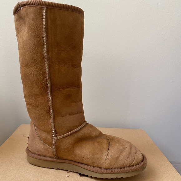 Tall UGGS in Chestnut - Picture 7 of 14